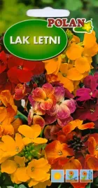 lak-letni-1g-nasiona-kwiatow-polan
