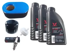 zestaw-serwisowy-silnika-mtd-cubcadet-420cc-guma