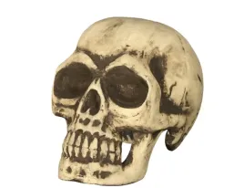 czaszka-32-cm-halloween-ubiorna-szkielet-bezowa-bez-dekoracja