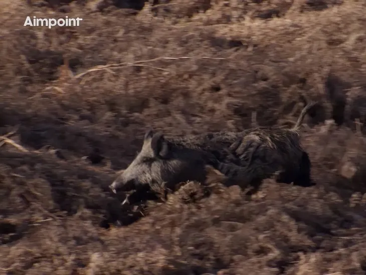 kolimator-aimpoint-micro-h-2-2-moa-marka-aimpoint