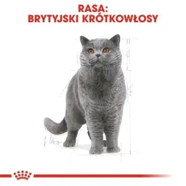 royal-canin-british-shorthair-adult-4kg-royal-canin