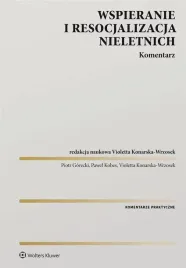 wspieranie-i-resocjalizacja-nieletnich-komentarz