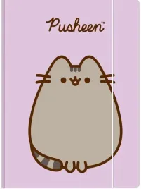 teczka-z-gumka-a4-pusheen-pastel-st-majewski