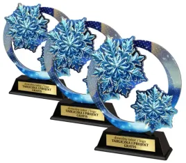zestaw-3-szt-statuetka-metal-plexi-z-nadrukiem-kolorowym-sporty-zimowe