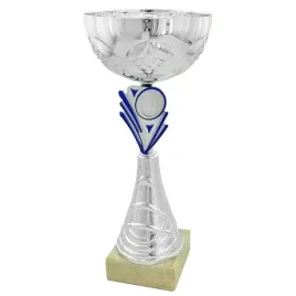 srebrny-puchar-31-cm-grawer-gratis