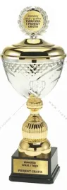 zloto-srebrny-puchar-i-przykrywka-mocowana-na-stale-31-cm-grawer-gratis