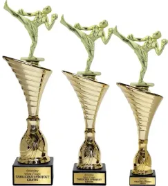 piekny-zloty-komplet-puchar-z-figurka-kickboxing-34-31-30-grawerki-gratis
