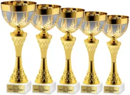 bogaty-komplet-pucharow-zloty-srebrnych-38-35-32-30-28-cm-grawerki-gratis