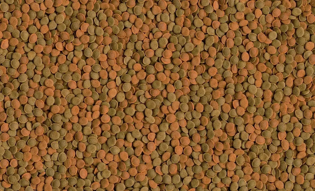 tetra-wafer-mix-1000ml-tetra