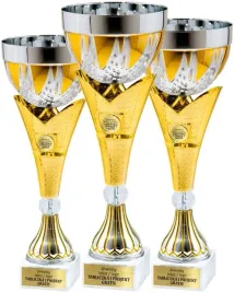 komplet-pucharow-w-barwach-zlota-i-srebra-38-35-31-cm-grawerki-gratis