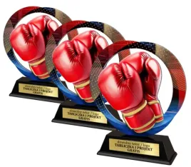 zestaw-3szt-statuetka-metal-plexi-z-nadrukiem-kolorowym-boks-kickboxing