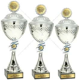 srebrny-metalowy-komplet-pucharow-z-pokrywkami-35-33-32-cm-grawer-gratis