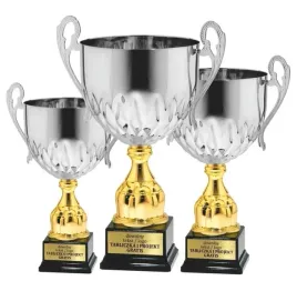 niesamowity-komplet-pucharow-srebrnych-47-43-39-cm-grawerki-gratis