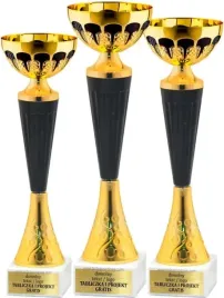 elegancki-komplet-pucharow-zloto-czarnych-32-30-27-cm-grawerki-gratis