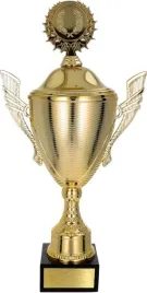 piekny-puchar-z-przykrywka-logo-34-cm-grawer-gratis