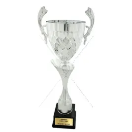 wysoki-srebrny-puchar-68-cm-grawer-gratis