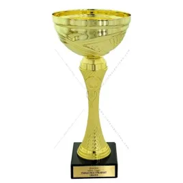 zloty-puchar-26-cm-grawer-gratis