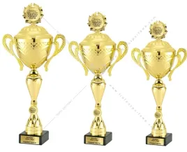 zloty-komplet-pucharow-z-przykrywkami-37-35-33-cm-tabliczki-gratis