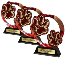 zestaw-3szt-statuetka-metal-plexi-z-nadrukiem-kolorowym-plywanie-grawer