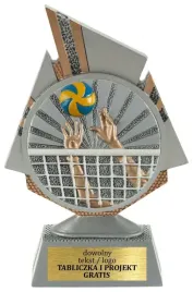 statuetka-figurka-przestrzenna-3d-siatkowka-17-cm-grawer-gratis