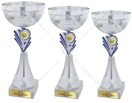 komplet-pucharow-srebrnych-31-29-27-cm-grawerki-gratis