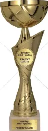wspanialy-zloty-puchar-nagroda-sport-31-cm-grawer-gratis