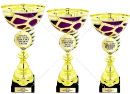 zloto-wrzosowy-komplet-metalowych-pucharow-z-emblematem-36-33-30-cm-grawe