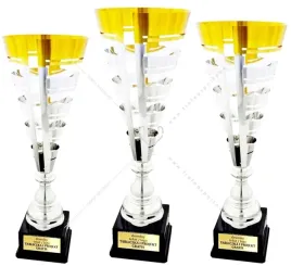 zloto-srebrny-komplet-pucharow-3d-66-59-50-cm-grawer
