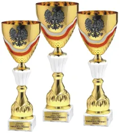 komplet-pucharow-w-barwach-narodowych-40-38-35-cm-grawer-gratis