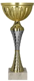 elegancki-zloto-srebrny-puchar-nagroda-sport-35-cm-grawer-gratis