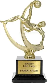zlota-statuetka-pilka-nozna-20cm-xl-grawer-gratis
