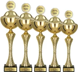 elegancki-zloty-komplet-pucharow-51-48-44-42-39-cm-personalizacja-gratis