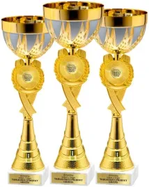 elegancki-komplet-pucharow-zloto-srebrnych-36-34-31-cm-grawerki-gratis