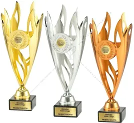 komplet-pucharkow-zloto-srebro-braz-z-wklejka-29-cm-grawer-gratis