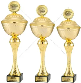 zloty-komplet-pucharow-z-przykrywkami-41-39-37-cm-tabliczki-gratis