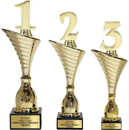 zloty-komplet-pucharow-uniwersalnych-numer-1-2-3-31-28-27-cm-grawerki