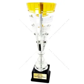 zloto-srebrny-przestrzenny-puchar-59-cm-grawer