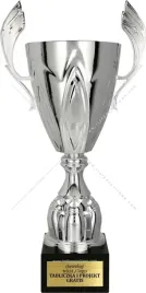 artystyczny-blyszczacy-srebrny-puchar-52-cm-grawer-gratis