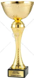 zloty-puchar-z-emblematem-31-cm-grawer-gratis