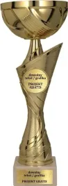 jubileuszowy-zloty-puchar-nagroda-sport-28-cm-grawer-gratis