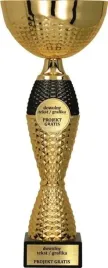 turniejowy-zloty-puchar-nagroda-sport-35-cm-grawer-gratis