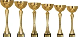 zloty-komplet-uniwersalnych-pucharow-46-44-39-35-32-29cm-tabliczki-gratis