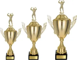 piekny-komplet-pucharow-kulturystyka-49-43-38-cm-grawerki-gratis
