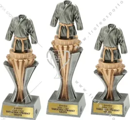komplet-figurek-przestrzennych-3d-karate-sztuki-walki-21-19-17cm-grawerki