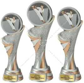 komplet-figurek-przestrzenna-3d-karate-26-24-22-cm-tabliczki-gratis