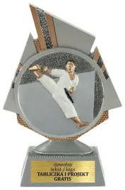 statuetka-figurka-przestrzenna-3d-karate-sporty-walki-17-cm-grawer-gratis
