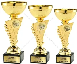 zloty-komplet-pucharow-z-emblematem-19-5-20-21-cm-grawer-gratis