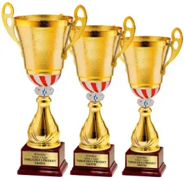 komplet-pucharow-w-barwach-narodowych-polska-48-46-44cm-grawerki-gratis