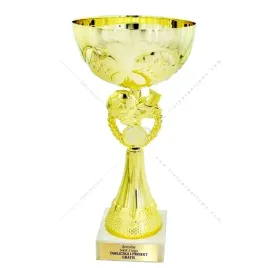 zloty-pilkarski-puchar-z-emblematem-26-cm-grawer