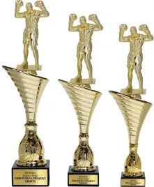 piekny-zloty-komplet-puchar-z-figurka-boks-sporty-walki-37-34-33-cm-grawer